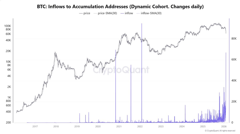 Во время падения биткоина киты 🐳 накапливали огромные объемы