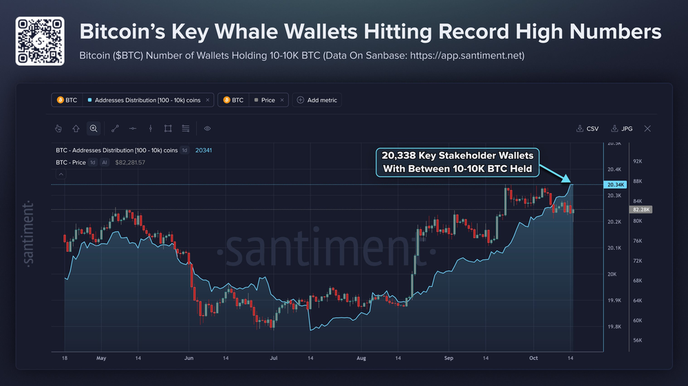 Сигнал о росте числа крупных держателей биткоинов набирает обороты