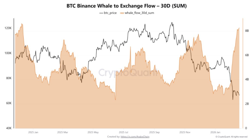 Приток «китов» 🐳 на Binance достиг максимального уровня