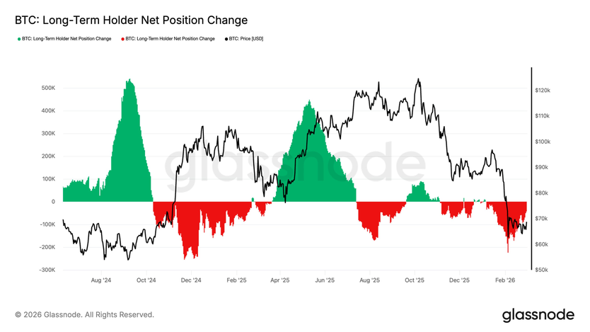 Динамика изменения чистой позиции LTH замедляется
