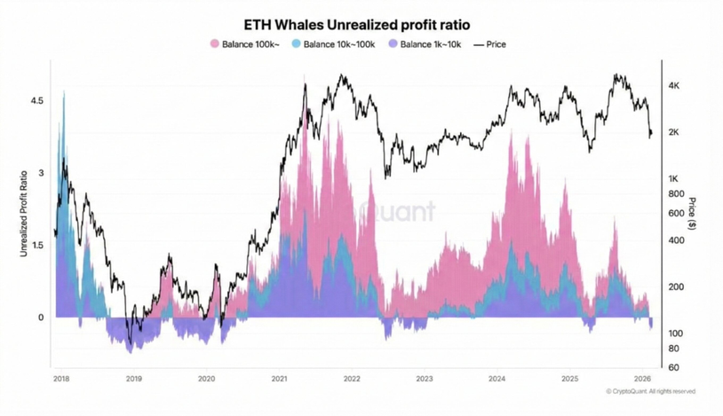 🐋 Нереализованные убытки «китов» на $ETH стремительно растут