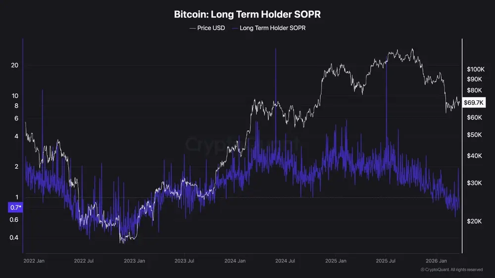 Всё больше долгосрочных холдеров BTC фиксируют убытки