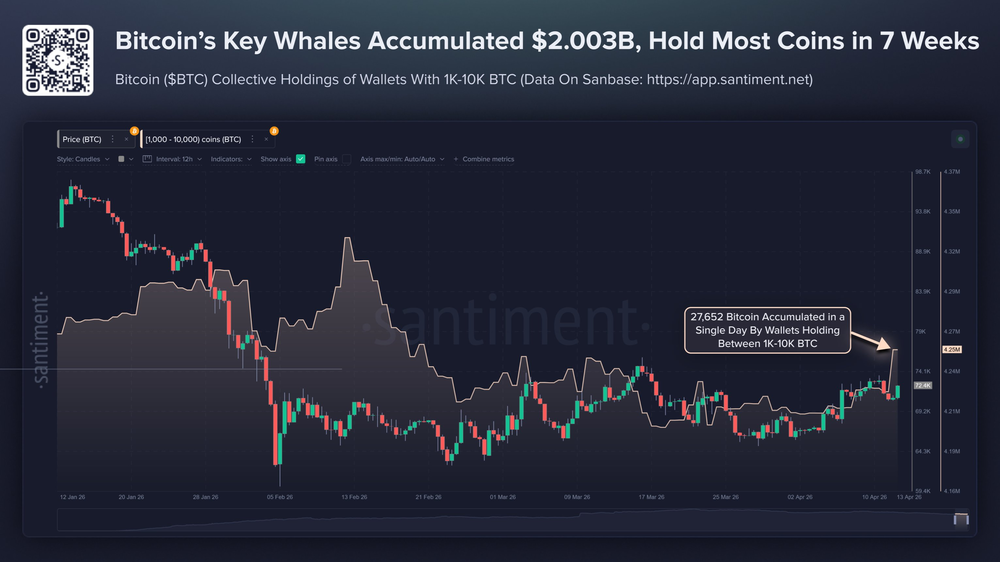Киты, владеющие 1-10 тысячами биткоинов, сейчас владеют более чем 4,25
