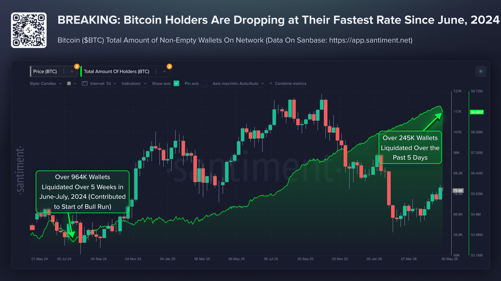 Количество держателей BTC быстро сокращается