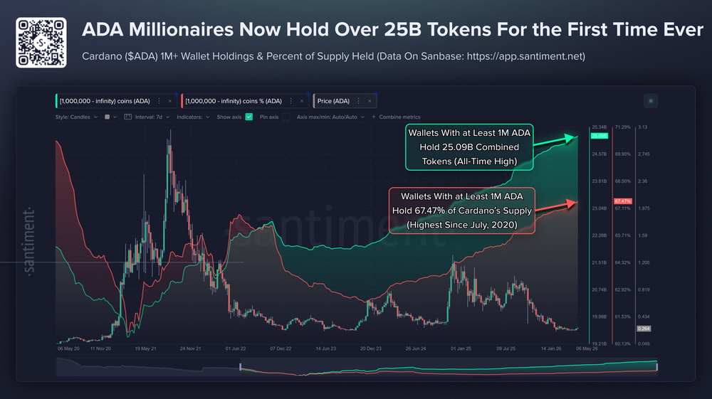 Ключевые инвесторы Cardano накапливают активы