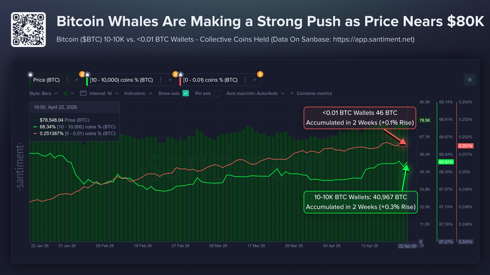 Ключевые инвесторы в биткоин активно накапливают криптовалюту