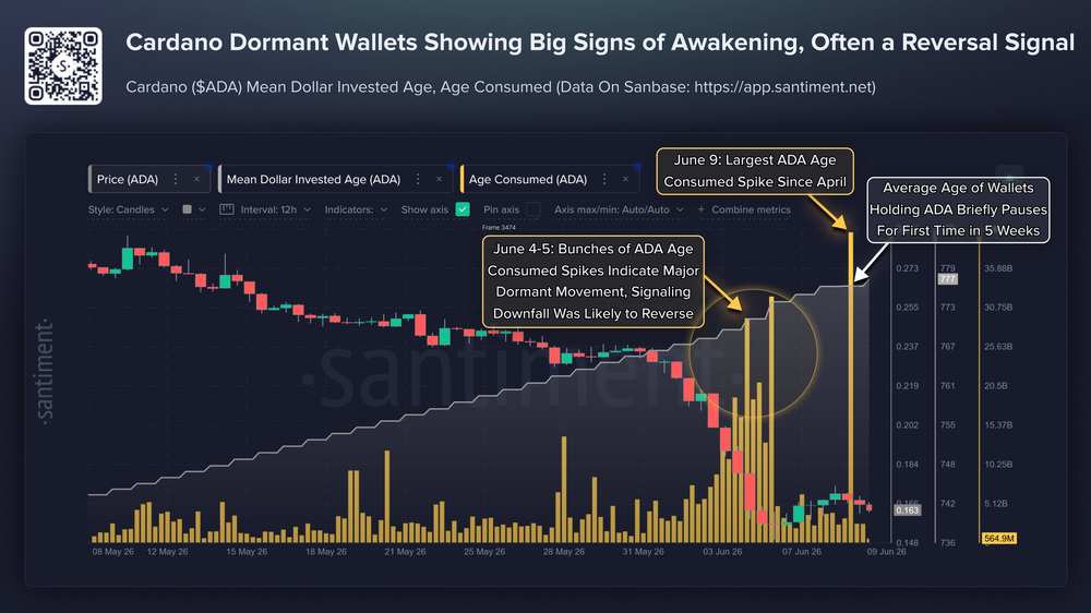 Неактивные кошельки ADA Cardano просыпаются Неактивные кошельки ADA Cardano просыпаются