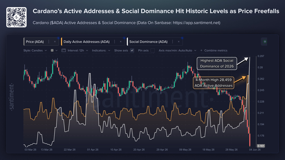 ADA Cardano стала одной из самых обсуждаемых криптовалют