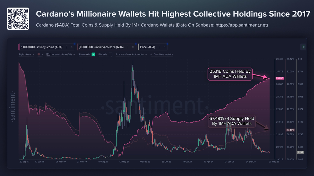 На кошельках, в которых хранится не менее 1 миллиона токенов Cardano,