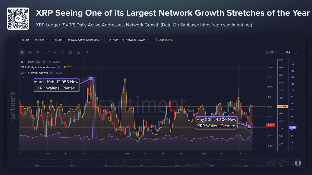 За 24 часа было создано 4300 новых кошельков для XRP