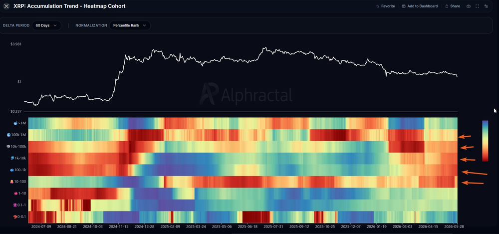 Адреса XRP, владеющие от 100 до 1 млн XRP, распределяют свои монеты