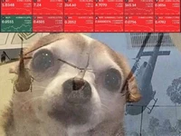 У ветеренов 10.10 флешбеки
