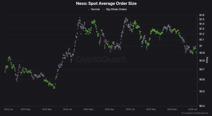 Активность китов NEXO растет в январе