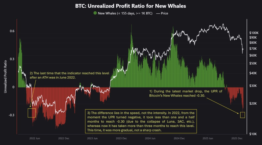 Новые «киты» 🐳 биткоина