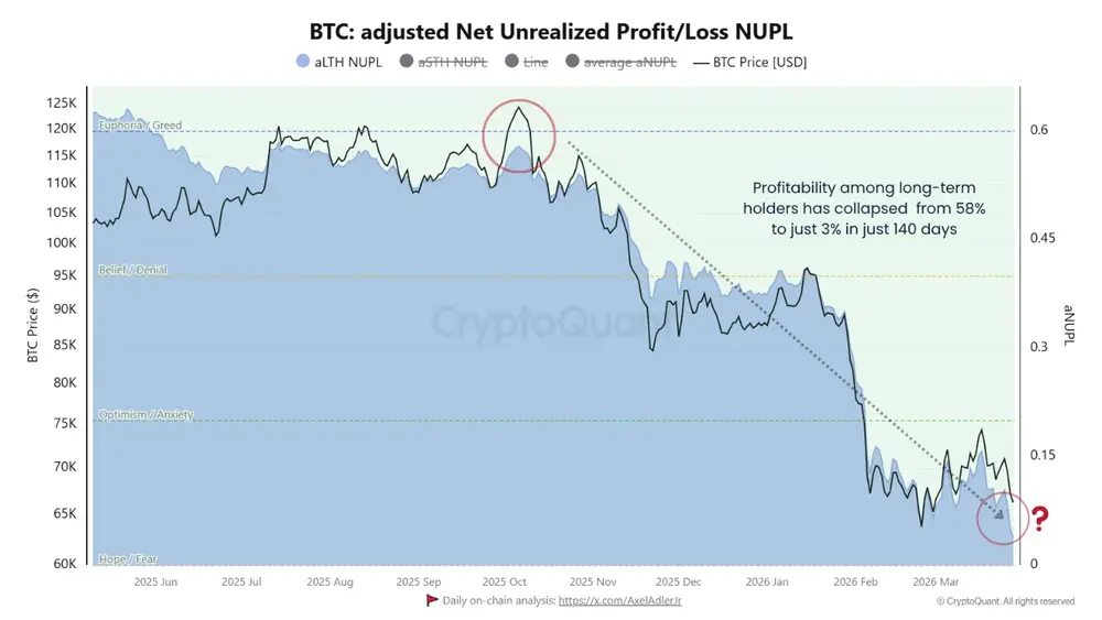 прибыльность долгосрочных держателей упала с 58% до 3% за 142 дня