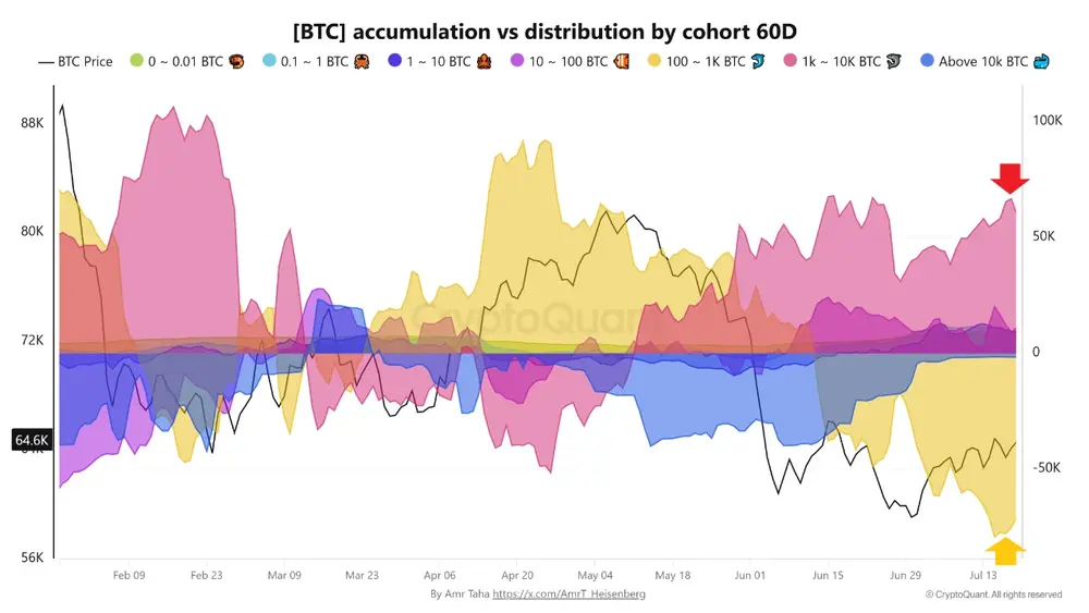 Крупные держатели биткоинов накопили 66 700 BTC Крупные держатели биткоинов накопили 66 700 BTC